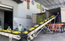 Nông sản Việt bắt đầu hưởng thuế ưu đãi vào châu Âu