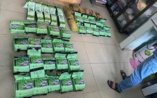 Phá đường dây vận chuyển ma túy từ Campuchia về TP.HCM, thu 47kg ma túy