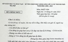 'Tôi muốn khóc như cô bé trong đề thi Văn ấy'