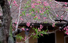 Tết xưa - Tết nay: Lạ cái hồi đó nhà nào cũng để ba mươi mới gói bánh