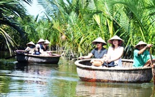 Quảng Nam rút tờ trình chuyển đổi 1ha rừng dừa nước Cẩm Thanh làm khu đô thị