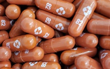 Giá sản xuất của thuốc Molnupiravir trị COVID-19 chỉ 17,74 USD?