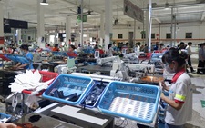 Chuyên gia quốc tế chỉ ra điểm yếu hệ thống thông tin thị trường lao động Việt Nam