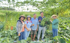 Bỏ phố về vườn - Kỳ 1: Trở về theo 'tiếng gọi nơi hoang dã'