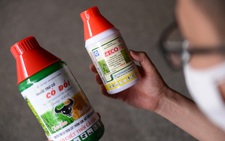 Chất trừ cỏ diquat tăng đột biến