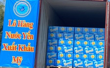 Yến sào Khánh Hòa: Ứng dụng khoa học và đẩy mạnh xuất khẩu