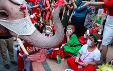 Voi làm ông già Noel, phát quà Giáng sinh cho trẻ em ở Thái Lan