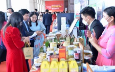 Bắt tay khôi phục du lịch nội địa