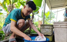 Đứa con thông minh của một người điên