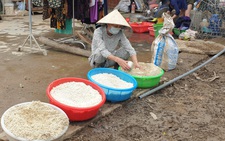 Giúp đồng bào gượng dậy sau lũ