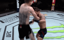 Xem 'màn knock-out đỉnh cao': võ sĩ tung đòn gối khiến đổi thủ không ngồi dậy nổi