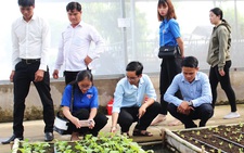 Không thể 'xúi' khởi nghiệp bất chấp