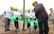 EVNNPC hưởng ứng lễ trồng cây 'Con đường du lịch hoài niệm các di tích quốc gia'