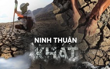 Rủ nhau gửi cây thanh thất đến Ninh Thuận để 