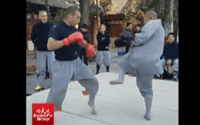 Nhà sư Thiếu Lâm gây sốt khi hạ cao thủ MMA với cú đá 'nhanh như chớp'