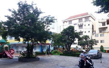 Tranh thủ nghỉ lễ 'khám bệnh' cây xanh