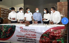 Vải thiều lần đầu xuất đi EU để hưởng ưu đãi EVFTA