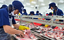 Tăng trưởng GDP năm 2021 có thể giảm từ 1-1,5%