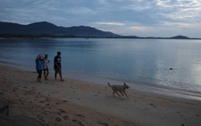 Sau Phuket, Thái Lan tiếp tục mở cửa 3 đảo du lịch tuần tới