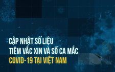 Cập nhật số liệu tiêm vắc xin và ca mắc COVID-19 tại Việt Nam