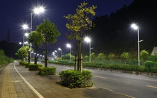 Đèn LED chiếu sáng đường phố làm giảm số lượng côn trùng