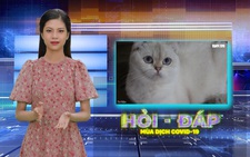 Robot Hỏi - Đáp: COVID-19 có thể lây sang vật nuôi?