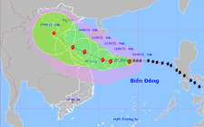 Bão số 5 khi đến Hoàng Sa, tăng sức gió giật từ cấp 12 lên 13