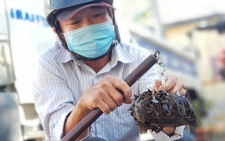 Đầu năm quét đinh rải dọc quốc lộ 1 khu Bình Chánh