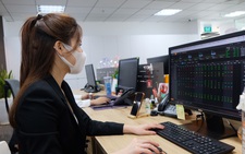 VN-Index bật tăng gần 40 điểm, nhiều cổ phiếu 'họ FLC' đã rớt 50% giá