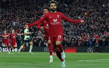 Lịch trực tiếp bóng đá châu Âu 20-10: Man United gặp Tottenham, Chelsea, Liverpool thi đấu