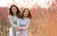 Tết dương lịch 2023 được nghỉ 3 ngày