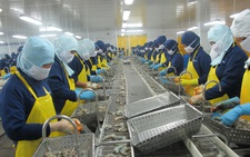 Mục tiêu 2023: Tăng trưởng 6,5%, kiểm soát vốn tín dụng các lĩnh vực rủi ro