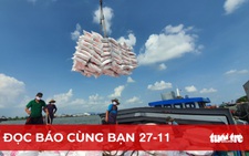 Để hạt gạo Việt Nam phát triển bền vững