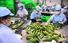 Không để đứt gãy nguồn cung nông sản, thực phẩm dịp Tết