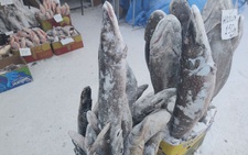Trải nghiệm thành phố lạnh giá nhất nước Nga