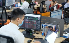 'Vợt' cổ phiếu giảm giá khi chứng khoán lao dốc