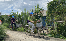 Khách nội địa tăng vượt trội, Saigontourist đặt mục tiêu đón 988.000 lượt khách năm 2022