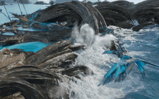 Siêu phẩm 'Avatar 2' ra trailer đẹp và mát rượi như dáng hình của nước