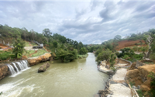 Dọa 