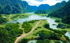 Thảo nguyên Đồng Lâm 'thay áo mới' mùa nước nổi, đẹp như cổ tích