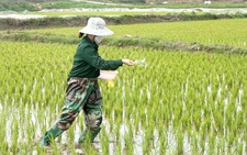 Tin sáng 10-5: Đề xuất cấm xuất khẩu phân bón; Thu hồi thuốc kháng sinh vi phạm chất lượng
