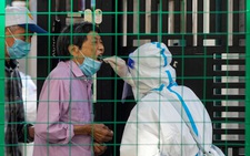Ông Tập tuyên bố Trung Quốc phải 'kiên quyết' thực hiện 'Zero COVID'
