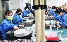 11% công nhân thường xuyên phải vay tiền để sinh hoạt hằng tháng