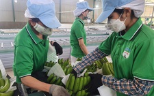Bầu Đức bị tung tin đồn thất thiệt, con gái ra tay mua thêm cổ phiếu Hoàng Anh Gia Lai
