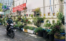 Vẽ tranh, trồng cây xanh 'ngăn' xả rác