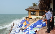 Đề xuất chống biến đổi khí hậu tại Việt Nam bằng chương trình trồng 1 tỉ cây xanh