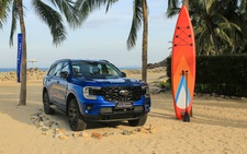 Người Việt chuộng xe gầm cao như thế nào: SUV/CUV đẩy sedan khỏi top đầu lựa chọn