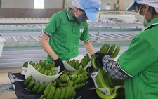 Hoàng Anh Gia Lai bị phạt vì cho bầu Đức vay tiền