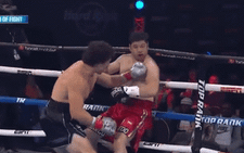2 lần đấm gục đối thủ sau 43 giây, võ sĩ quyền anh được đề cử 'Cú knock-out của năm'