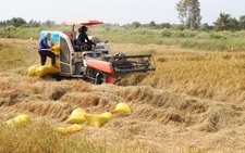 Chấn chỉnh ngay tình trạng cây xăng không bán hàng cho nông dân thu hoạch lúa